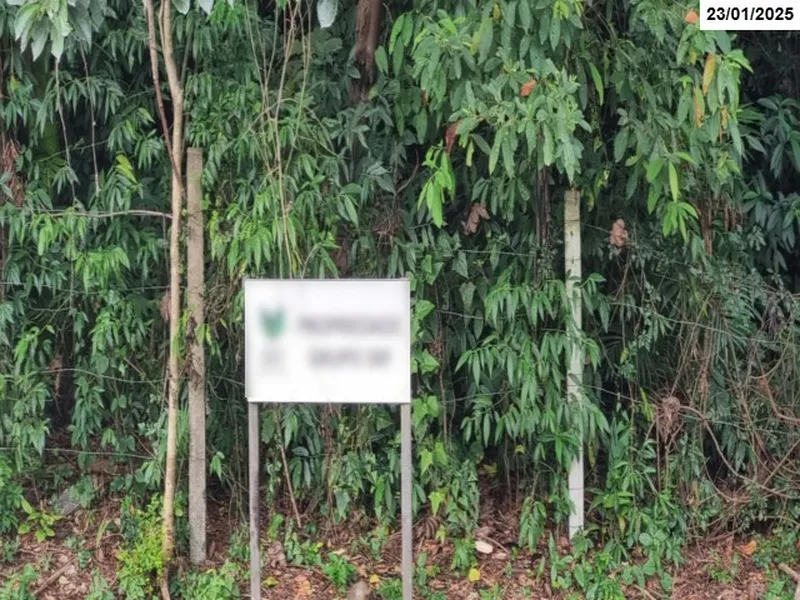 Imóvel rural em leilão