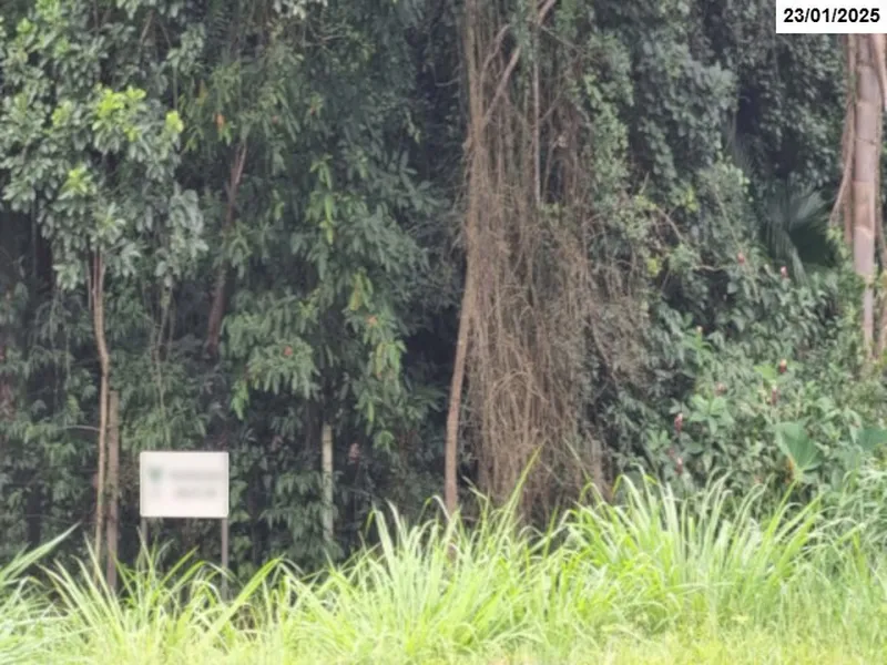 Imóvel rural em Venda Direta