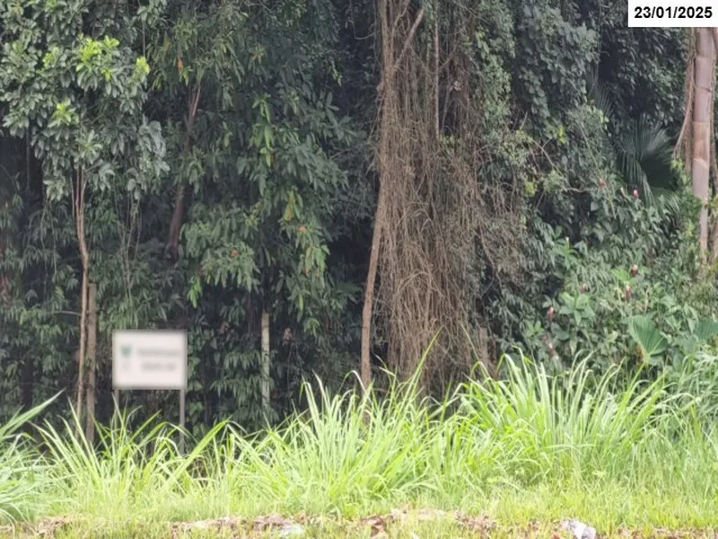 Imóvel rural em leilão