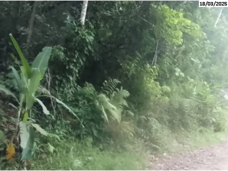 Terreno em Venda Direta