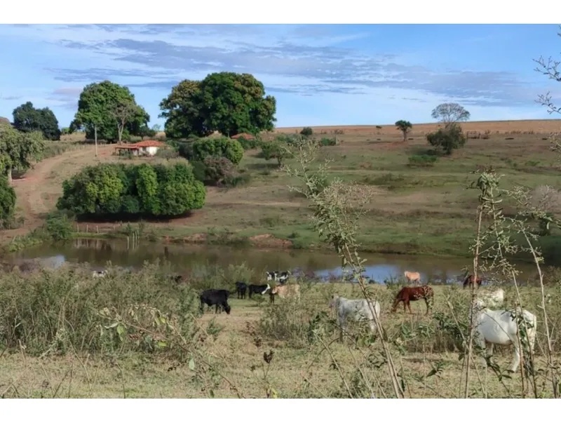 Imóvel rural em Leilão Judicial