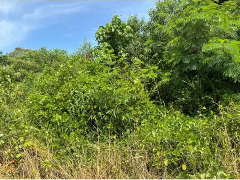 Terreno em Leilão Judicial