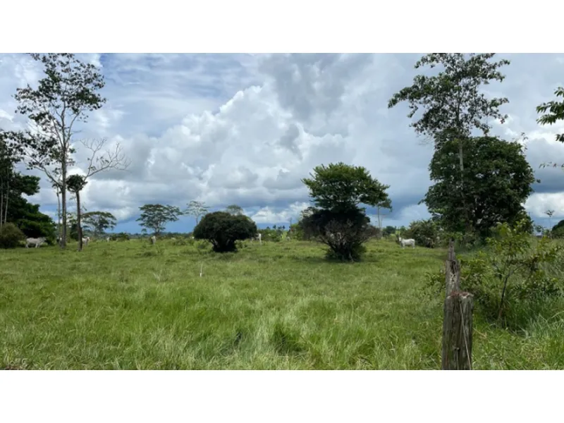 Imóvel rural em Leilão Judicial