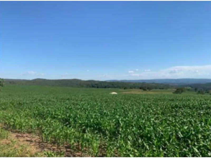 Imóvel rural em leilão