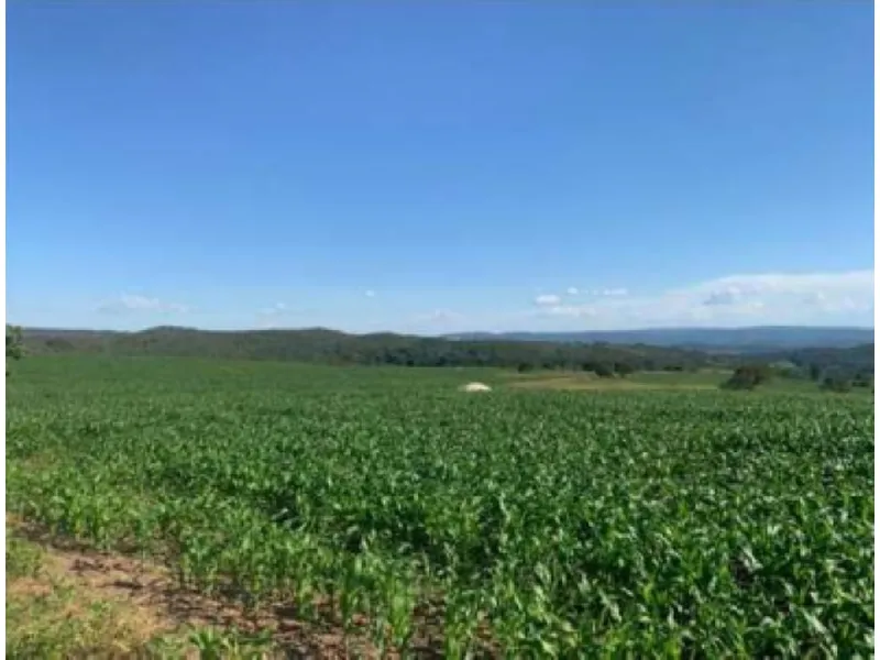 Imóvel rural em Leilão Judicial