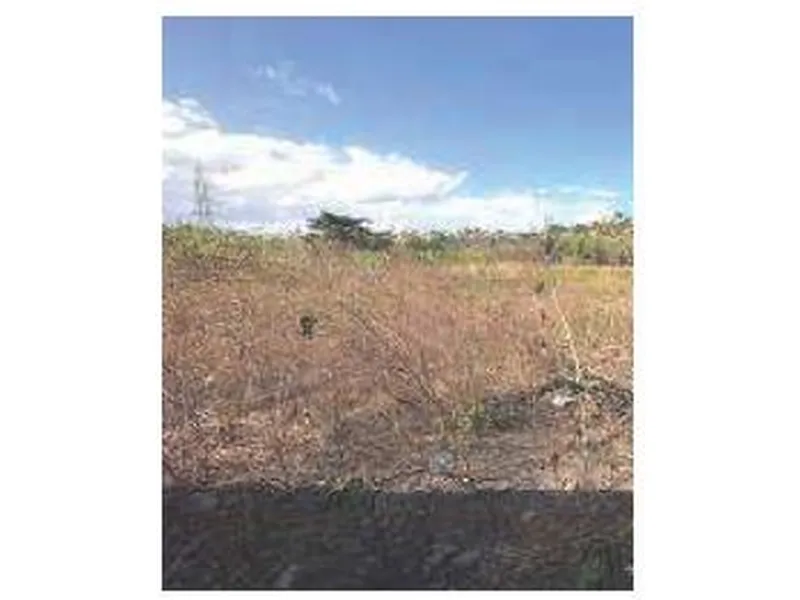 Gleba Urbana em Venda Direta