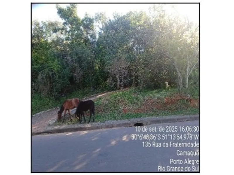 Terreno em Leilão Extrajudicial