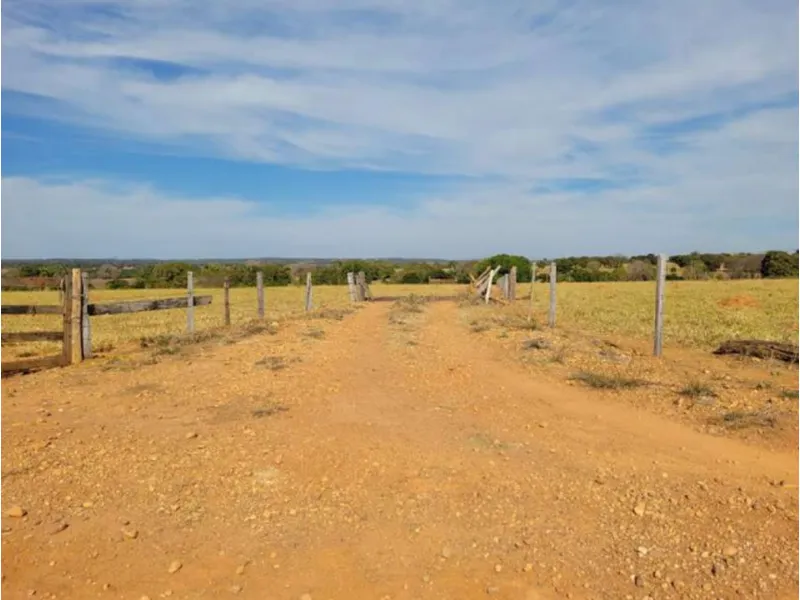 Imóvel rural em leilão