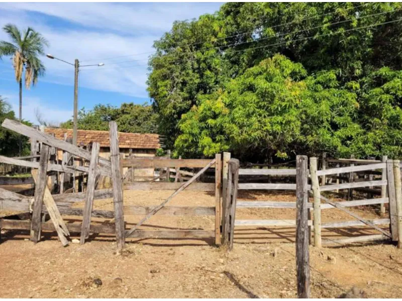 Imóvel rural em leilão