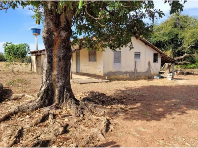 Imóvel rural em leilão