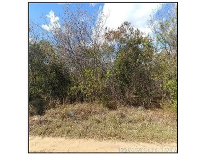 Terreno em Licitação