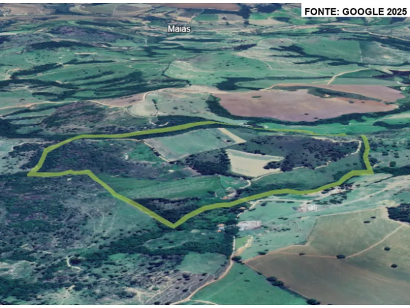Imóvel rural em leilão