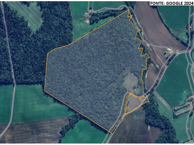 Imóvel rural em leilão