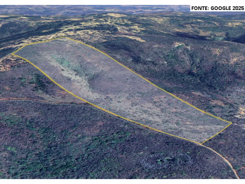 Imóvel rural em leilão