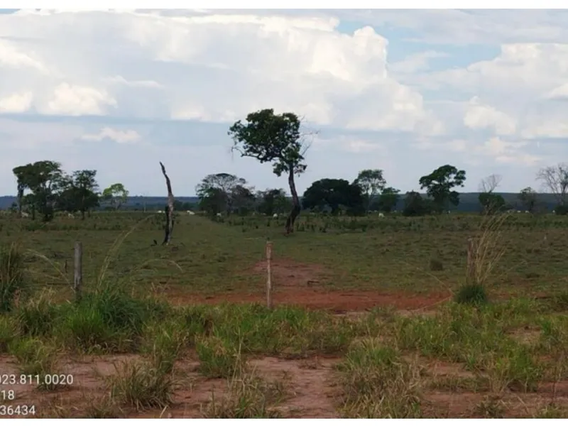 Imóvel rural em leilão