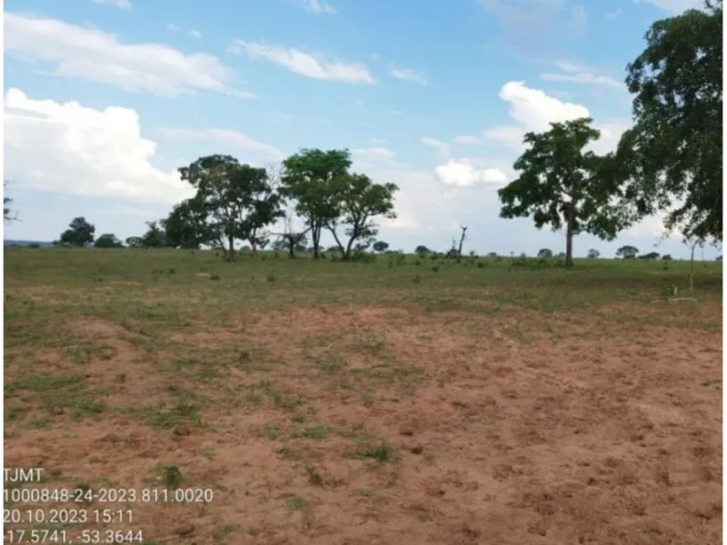 Imóvel rural em Leilão Judicial