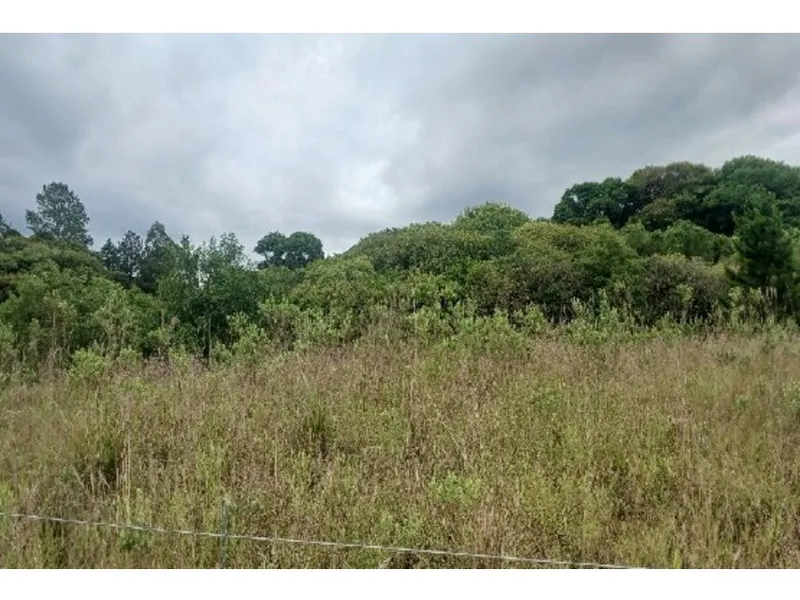 Imóvel rural em leilão