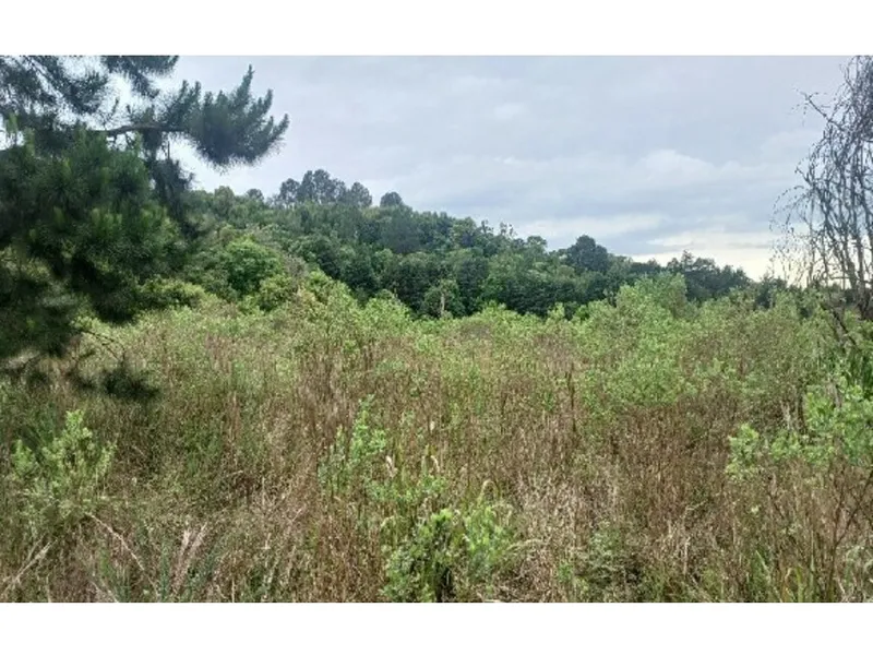 Imóvel rural em leilão