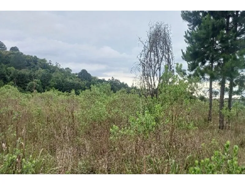 Imóvel rural em leilão