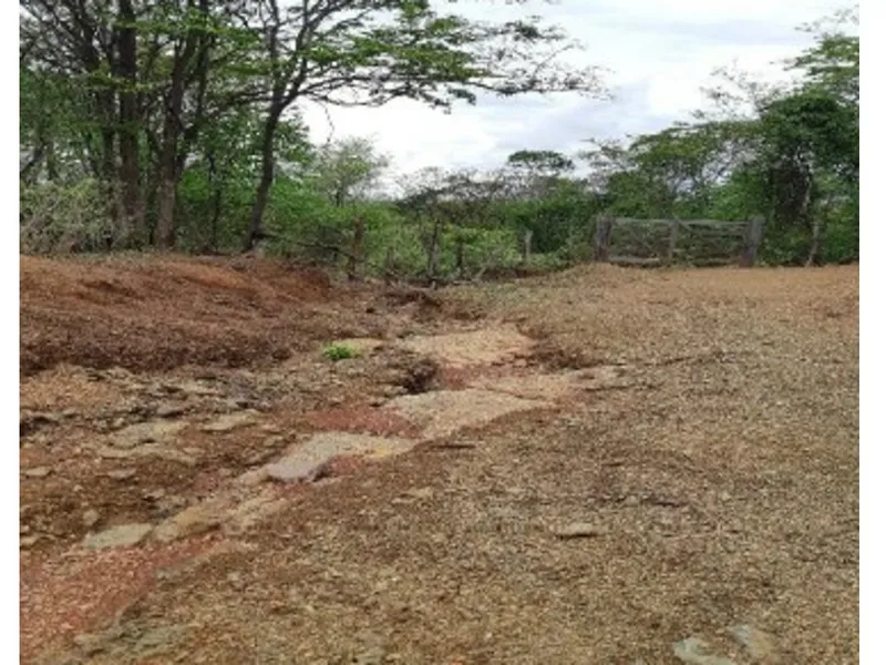 Imóvel rural em leilão