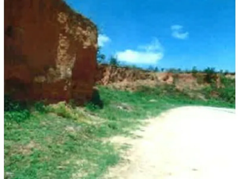 Gleba em Leilão Extrajudicial