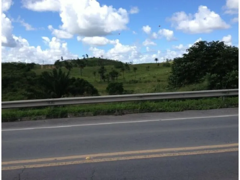 Gleba em Leilão Extrajudicial