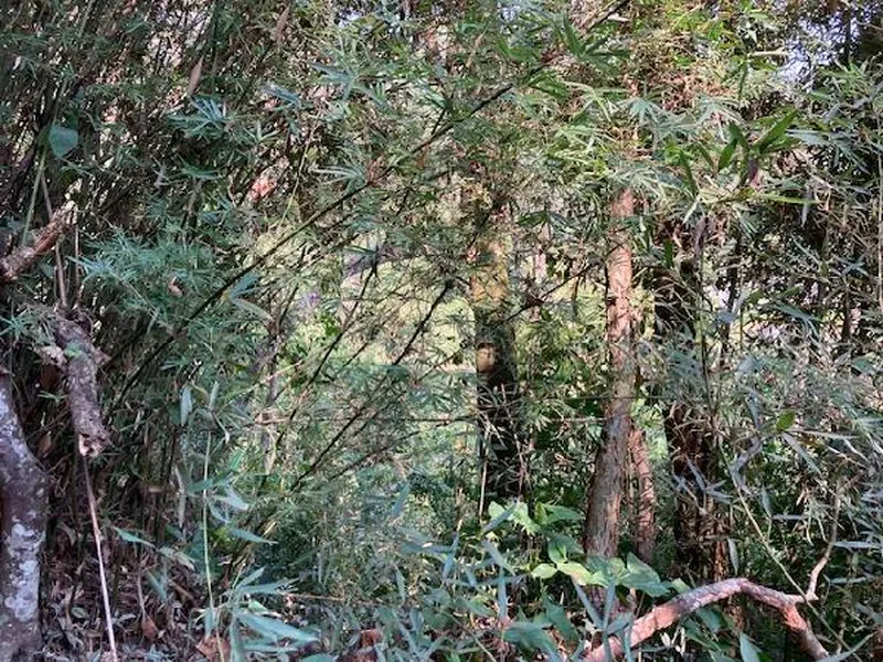 Terreno em Venda Direta