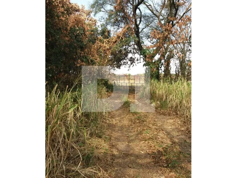 Terreno em Leilão Judicial