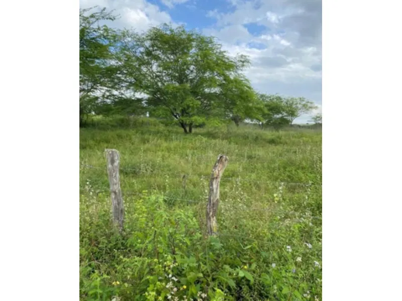 Imóvel rural em leilão