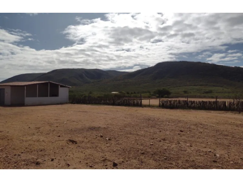 Imóvel rural em leilão