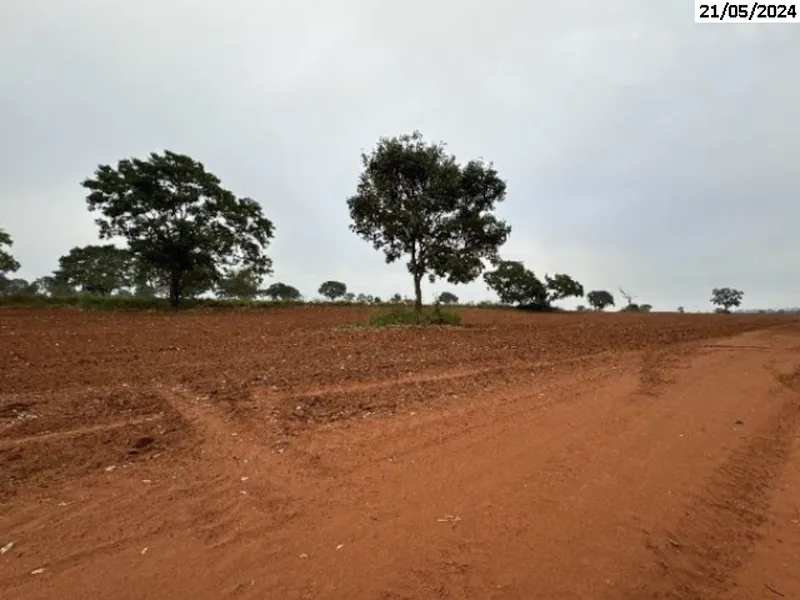 Imóvel rural em leilão
