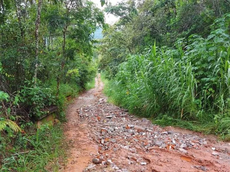 Outros em Leilão Judicial