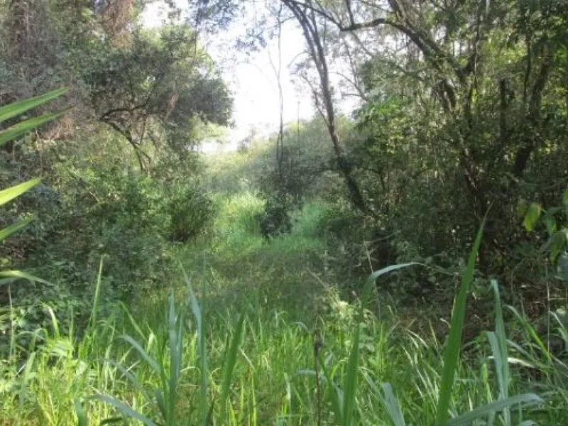 Imóvel rural em leilão