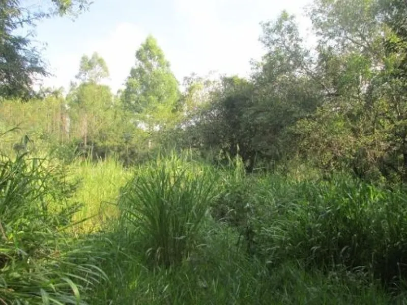 Imóvel rural em leilão