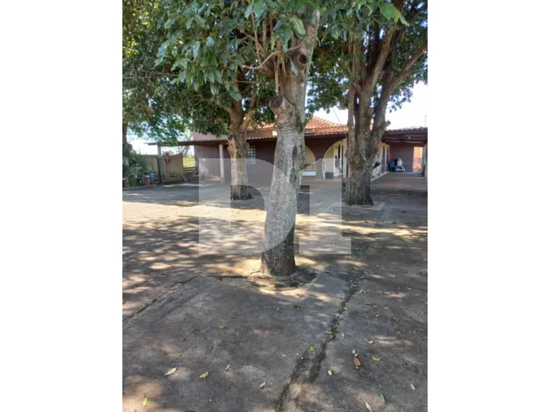 Imóvel rural em leilão