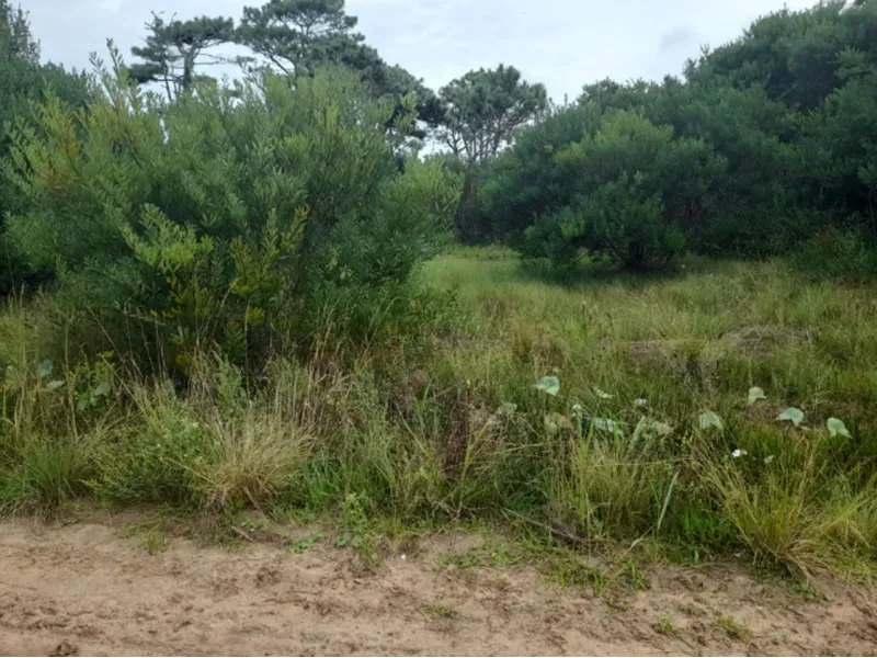 Terreno em Leilão Judicial