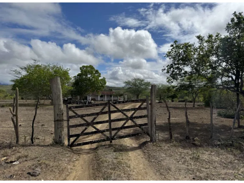 Imóvel rural em Leilão Judicial