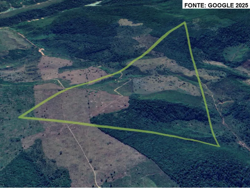 Imóvel rural em leilão
