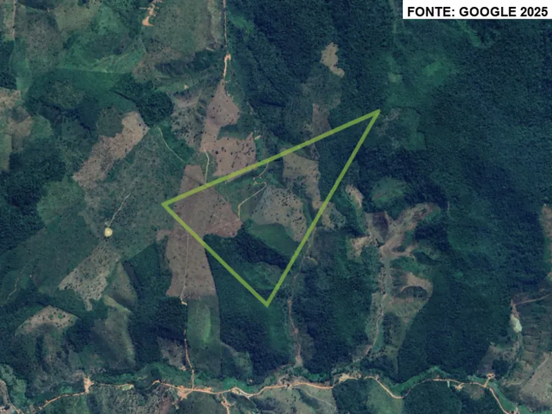 Imóvel rural em leilão