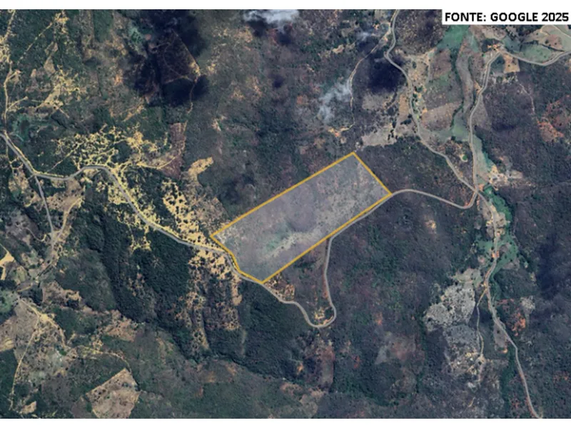 Imóvel rural em leilão