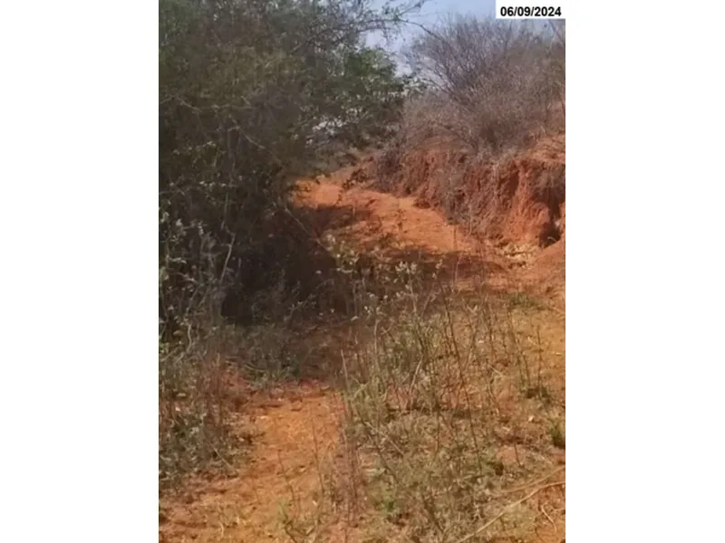 Imóvel rural em leilão