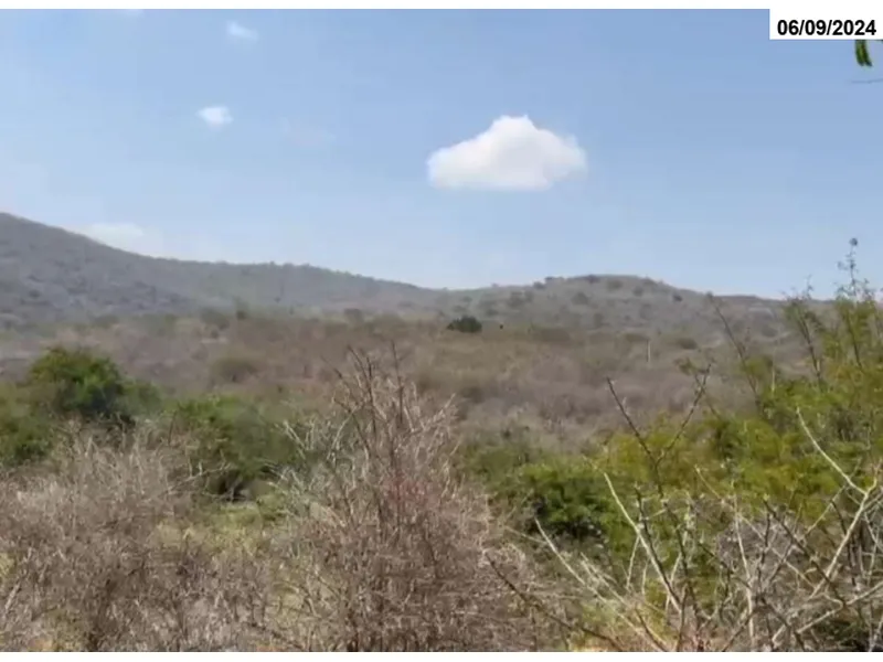 Imóvel rural em leilão