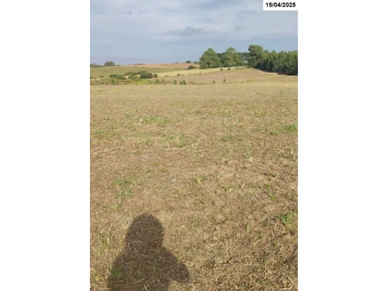 Imóvel rural em leilão