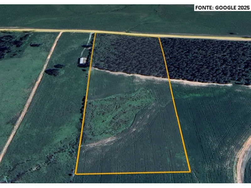 Imóvel rural em leilão