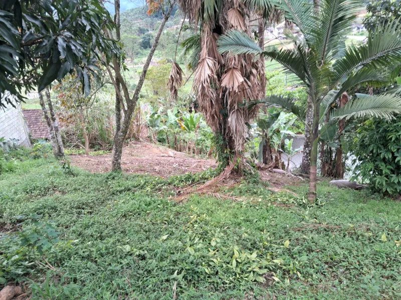 Terreno em Venda Direta