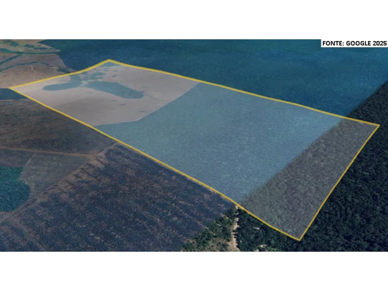 Imóvel rural em leilão