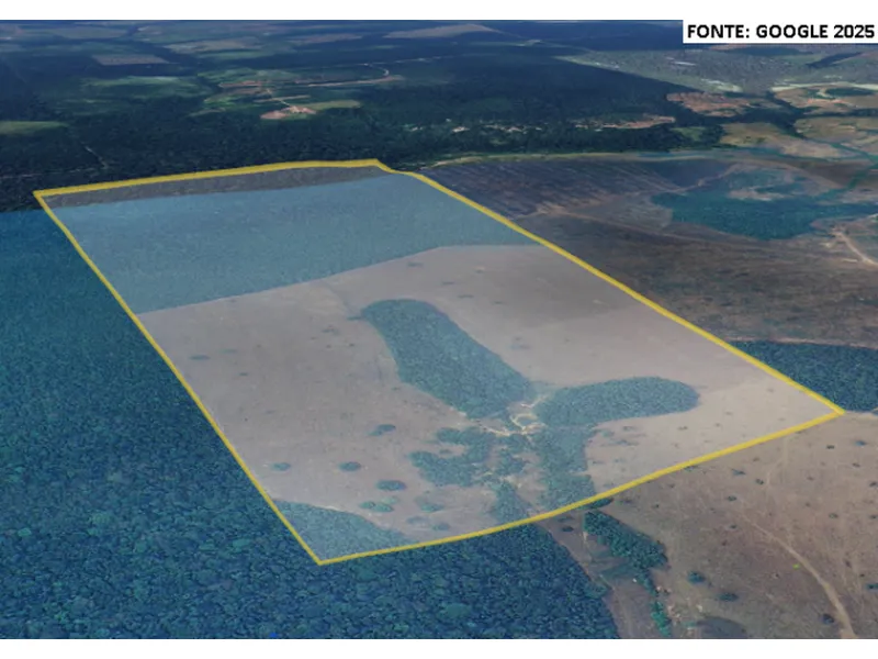 Imóvel rural em leilão