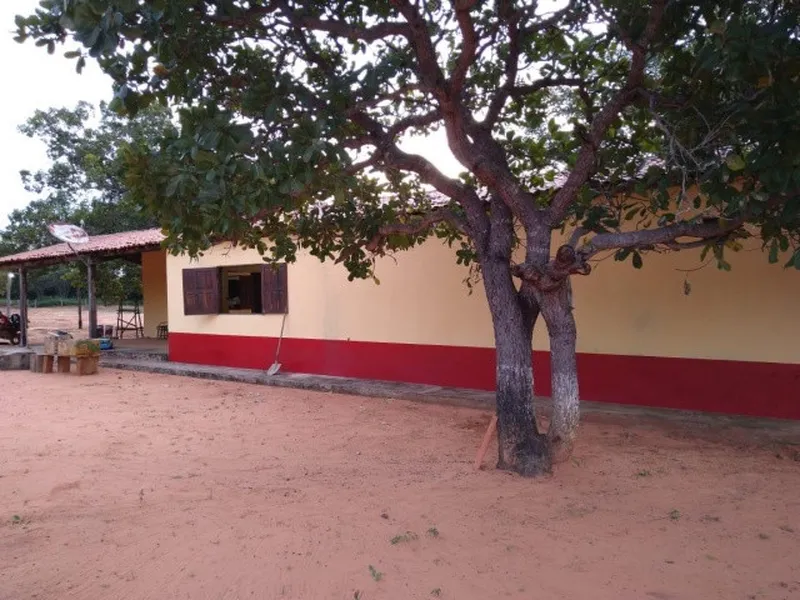 Imóvel rural em leilão