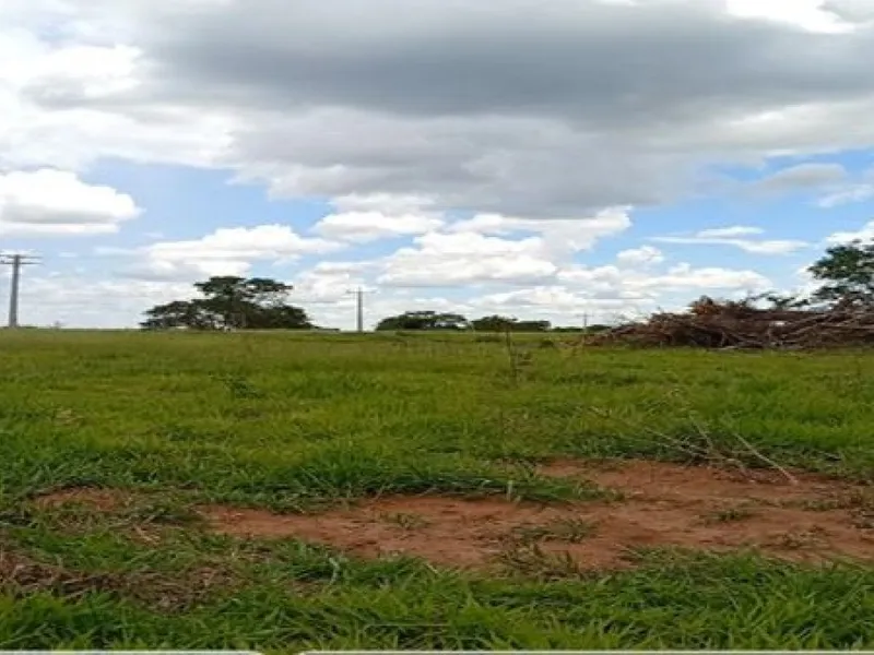 Imóvel rural em leilão