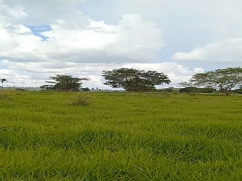 Imóvel rural em leilão